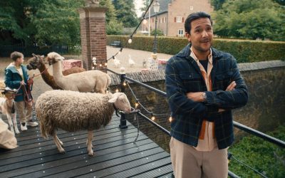 Feature: ‘Een Dolle Beestenboel’